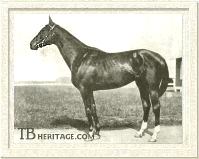 Burgomaster