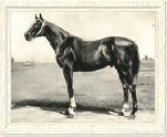 Hanover