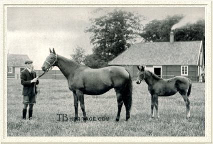 Sceptre and foal