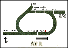 The Ayr diagram