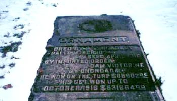 Ornament's grave